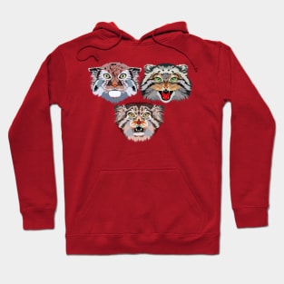 Wild steppe cats Hoodie